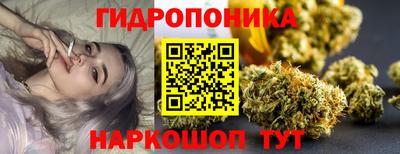 PSILOCYBIN Ирбит