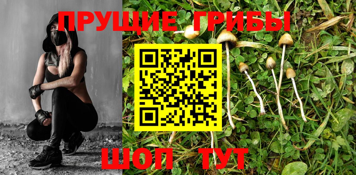 Псилоцибиновые грибы MAGIC MUSHROOMS Дзержинский