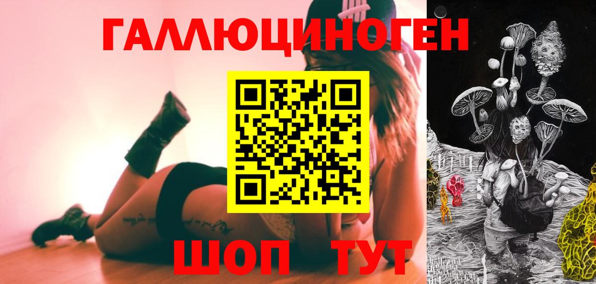 Дзержинский  Галлюциногенные грибы прущие грибы  Вход с VPN 