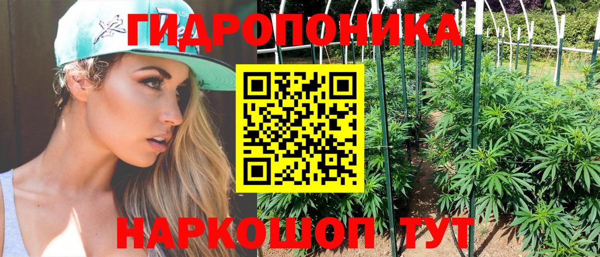 Канабис семена Дзержинский